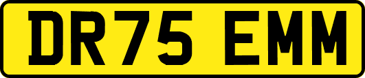 DR75EMM