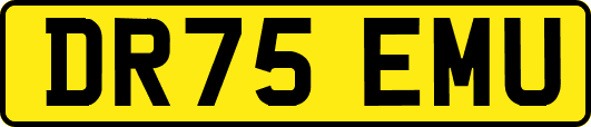 DR75EMU