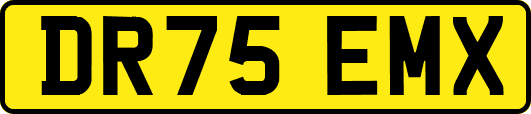 DR75EMX