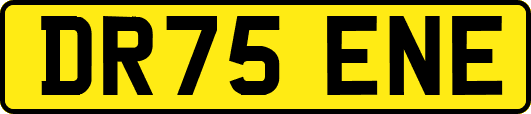 DR75ENE