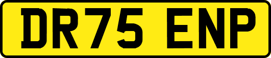 DR75ENP