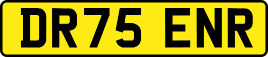 DR75ENR