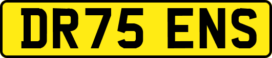 DR75ENS