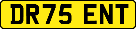 DR75ENT