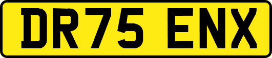 DR75ENX