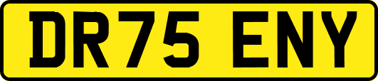 DR75ENY