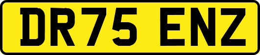 DR75ENZ