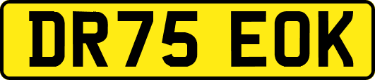 DR75EOK