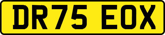 DR75EOX