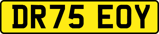 DR75EOY