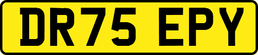 DR75EPY