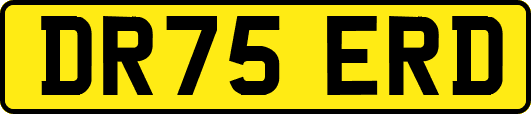 DR75ERD