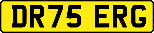 DR75ERG