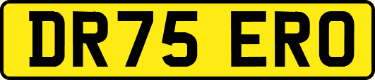 DR75ERO