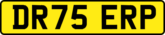 DR75ERP