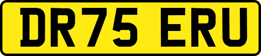 DR75ERU