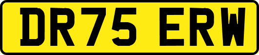 DR75ERW