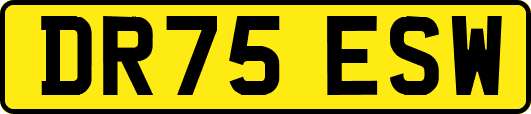 DR75ESW
