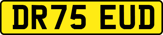 DR75EUD