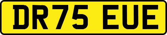 DR75EUE