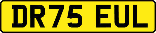 DR75EUL