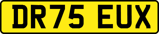 DR75EUX