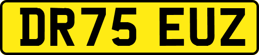 DR75EUZ