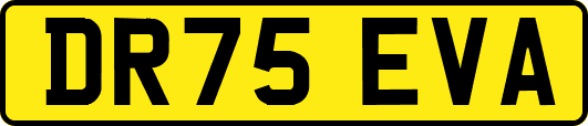 DR75EVA