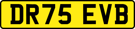 DR75EVB