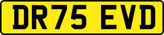 DR75EVD