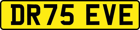 DR75EVE