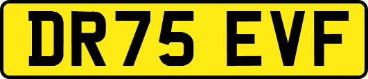 DR75EVF
