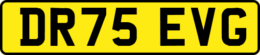 DR75EVG