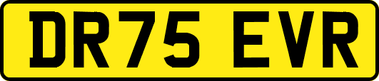 DR75EVR