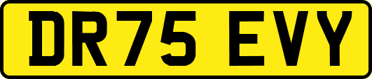 DR75EVY