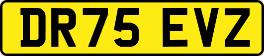 DR75EVZ