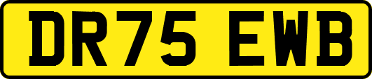 DR75EWB