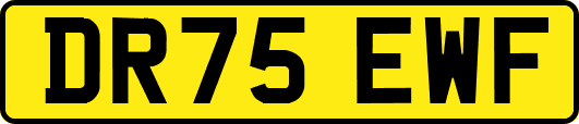 DR75EWF