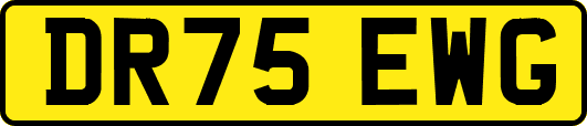 DR75EWG
