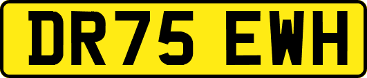 DR75EWH