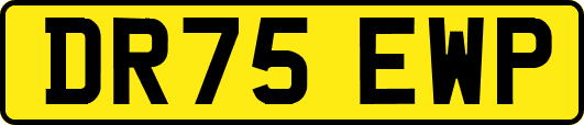 DR75EWP