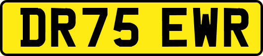 DR75EWR