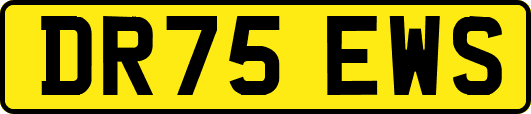 DR75EWS