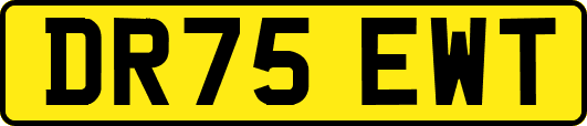 DR75EWT