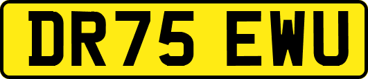 DR75EWU