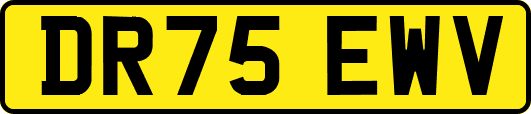 DR75EWV