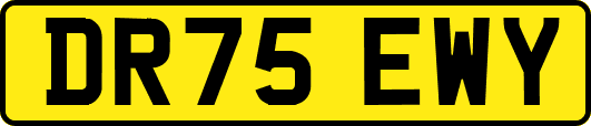DR75EWY