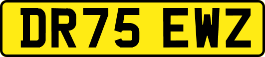 DR75EWZ