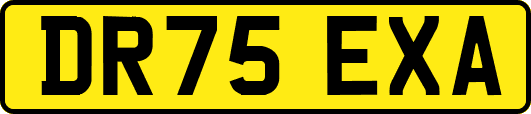 DR75EXA