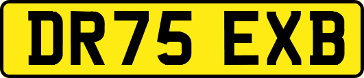 DR75EXB